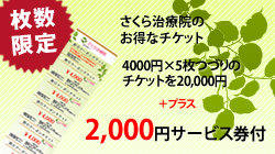 �`�P�b�g